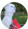 Profile photo of Dorothy B.