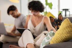 Tips on how to prepare your home before a professional cleaning service visit — decluttering, securing pets, and organizing essentials